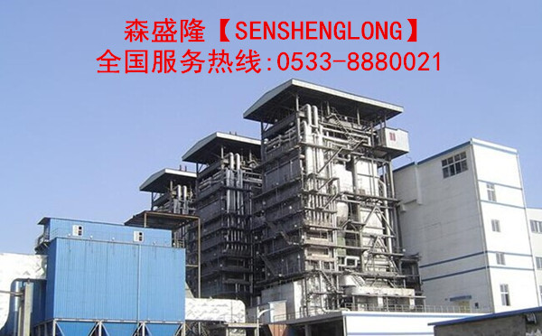 北京循环水缓蚀阻垢剂SS720产品应用