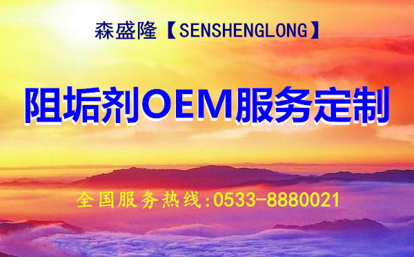果洛反渗透阻垢剂电厂SS810高效阻垢