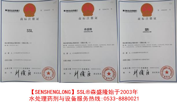 SSL/森盛隆注册商标证书