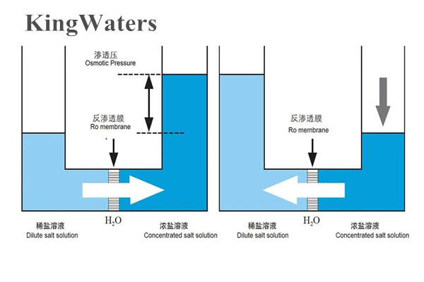 KW0100反渗透阻垢剂标准液KingWaterss欧美品质