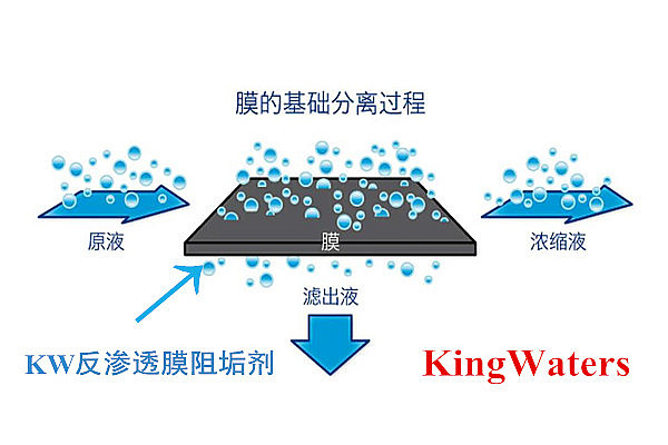 KW0100反渗透阻垢剂厂家直销提供全面技术支持